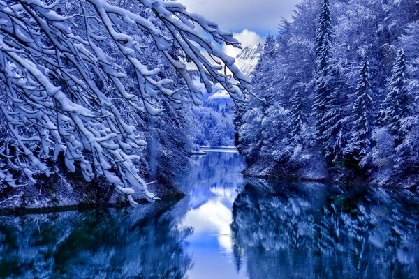 La naturaleza se quedó dormida en un vestido de invierno