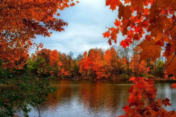 Autumn colors. The maple tree is noisy. Smooth water