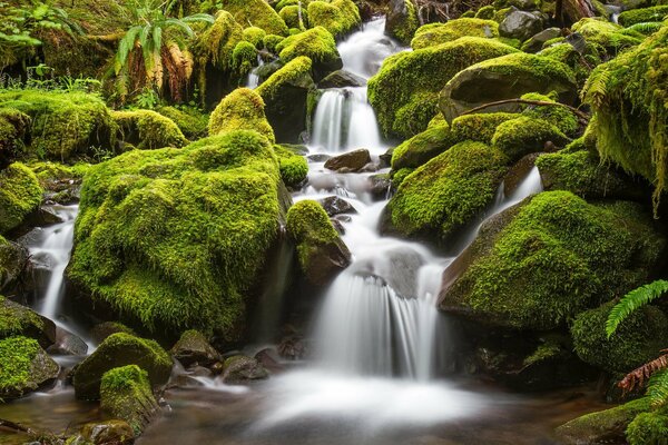 Ein schicker Wasserfall zwischen Steinen und Moos