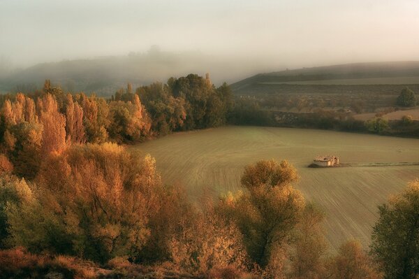 Belle la cabaña noyée dans la brume automnale