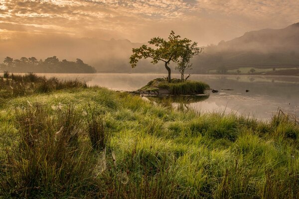 La niebla cae por la mañana en el lago