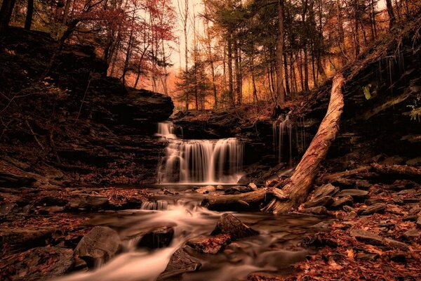 Una pequeña cascada en el bosque en otoño