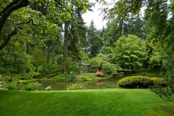 Un gazebo circondato da una foresta verde in Canada