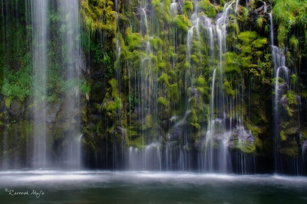 Waterfall on a lake in the jungle