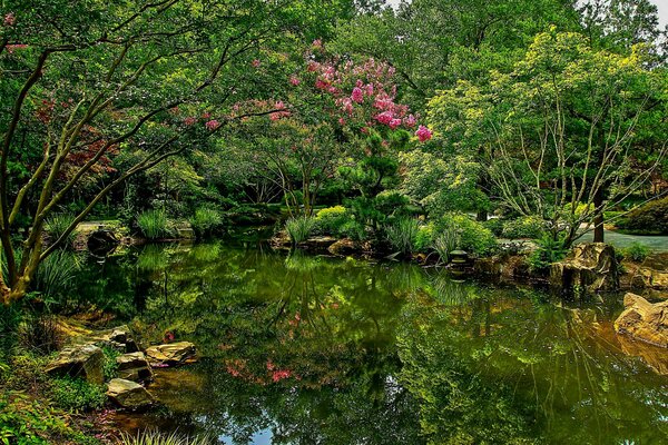 USA Park Teich Gibbs Gärten Sträucher Natur