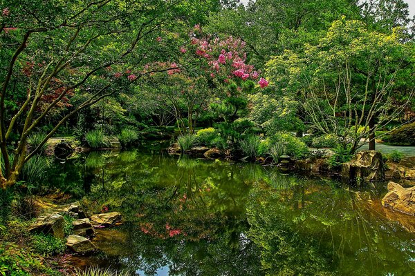 USA Park Gibbs Pond Gardens Bushes nature