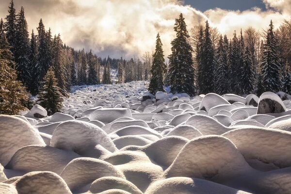 Beautiful winter landscape in the forest