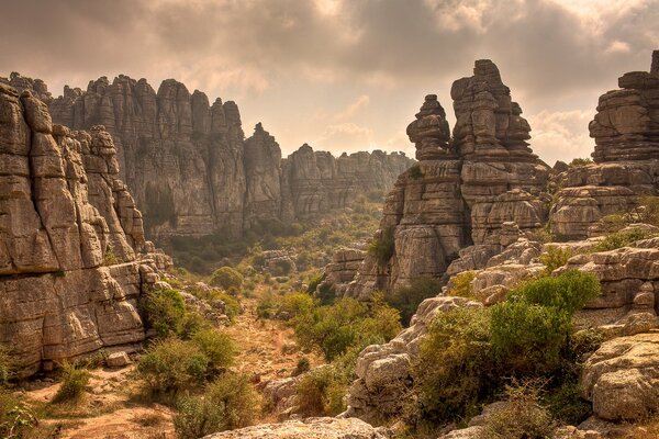 Rocky landscape with green shrubs