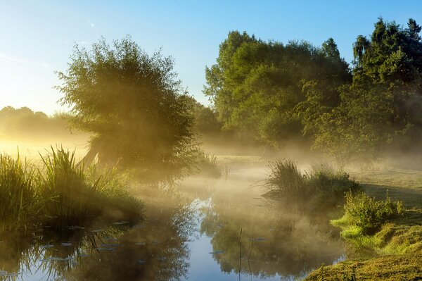 Nebel am Morgen über dem Teich