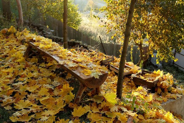 Feuilles couvertes banc