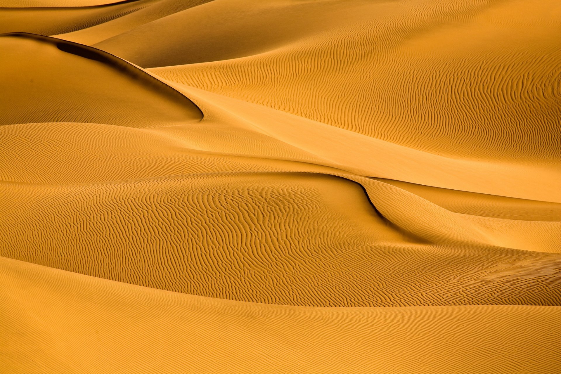 états-unis état californie vallée de la mort désert dunes