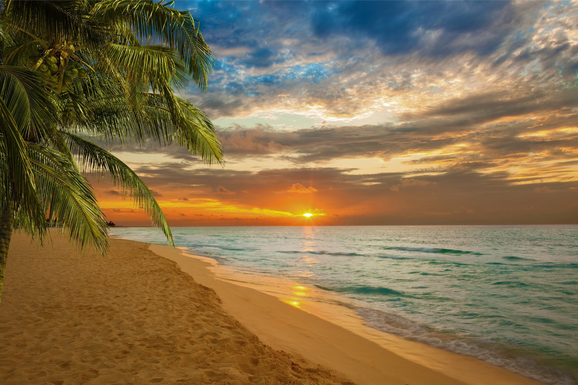 coucher de soleil plage mer côte paradis tropical sable palmiers