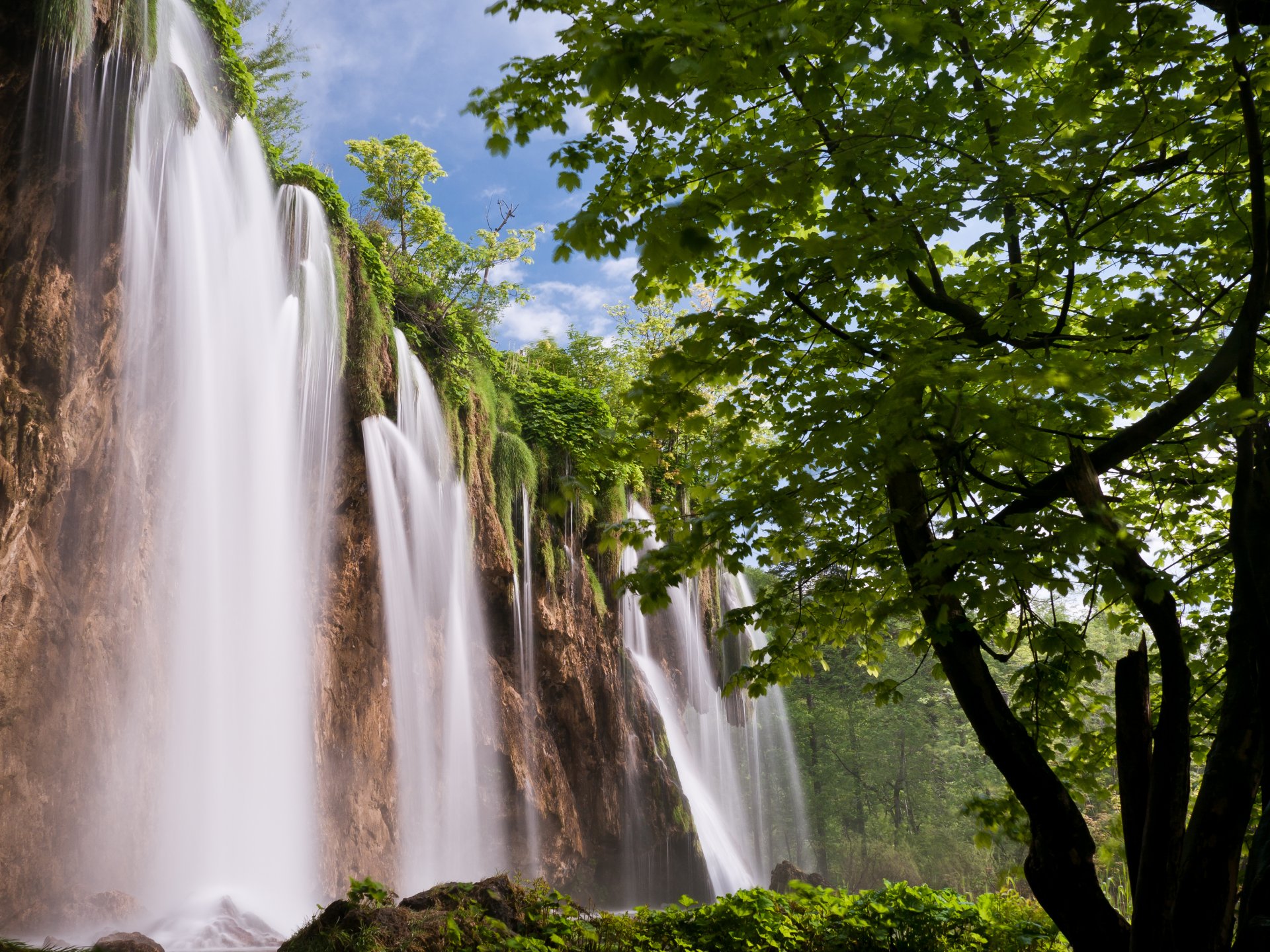 nature cascade cascade forêt