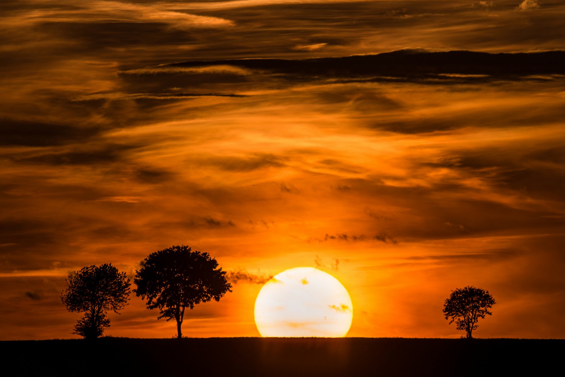 cielo nuvole sole tramonto alberi silhouette