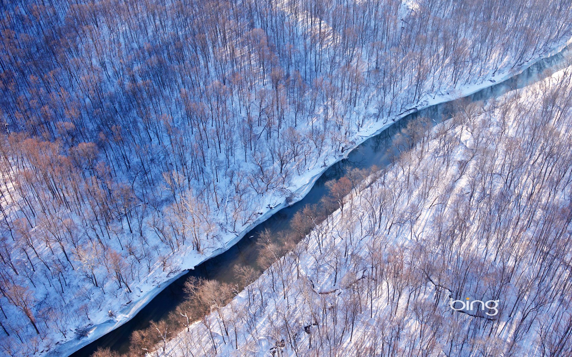 virginia united states forest winter river snow