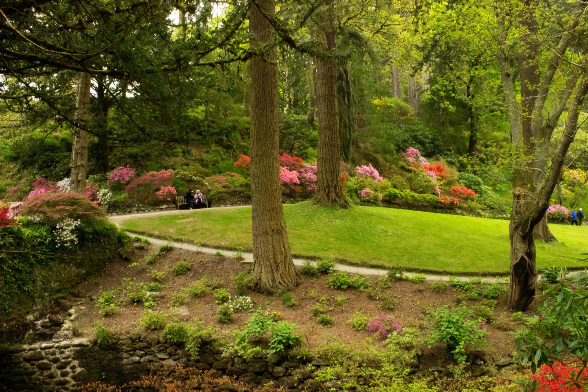 united kingdom park bodnant gardens wales grass bush tree green bench