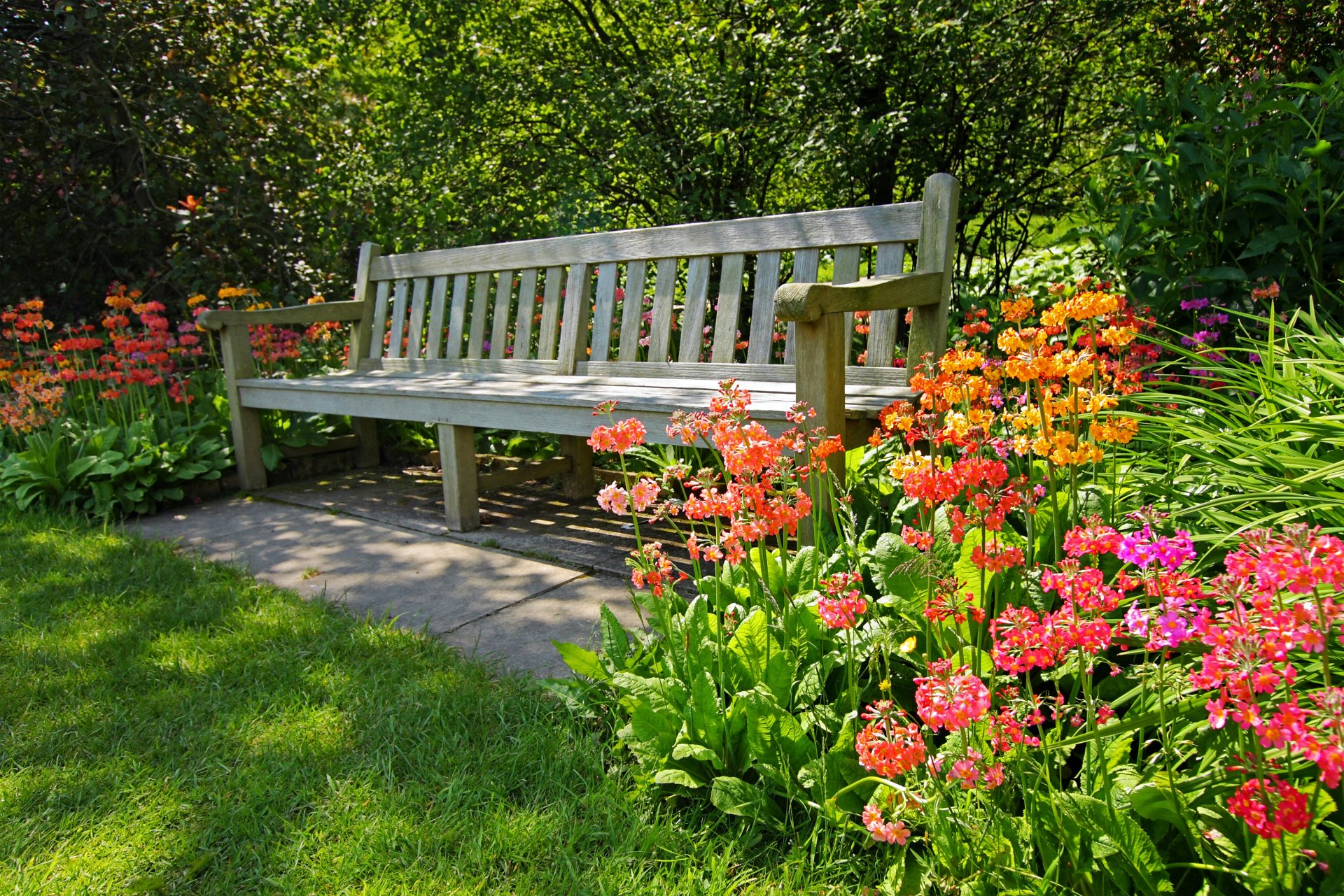 geschäft bäume blumen gras sommer strahlen