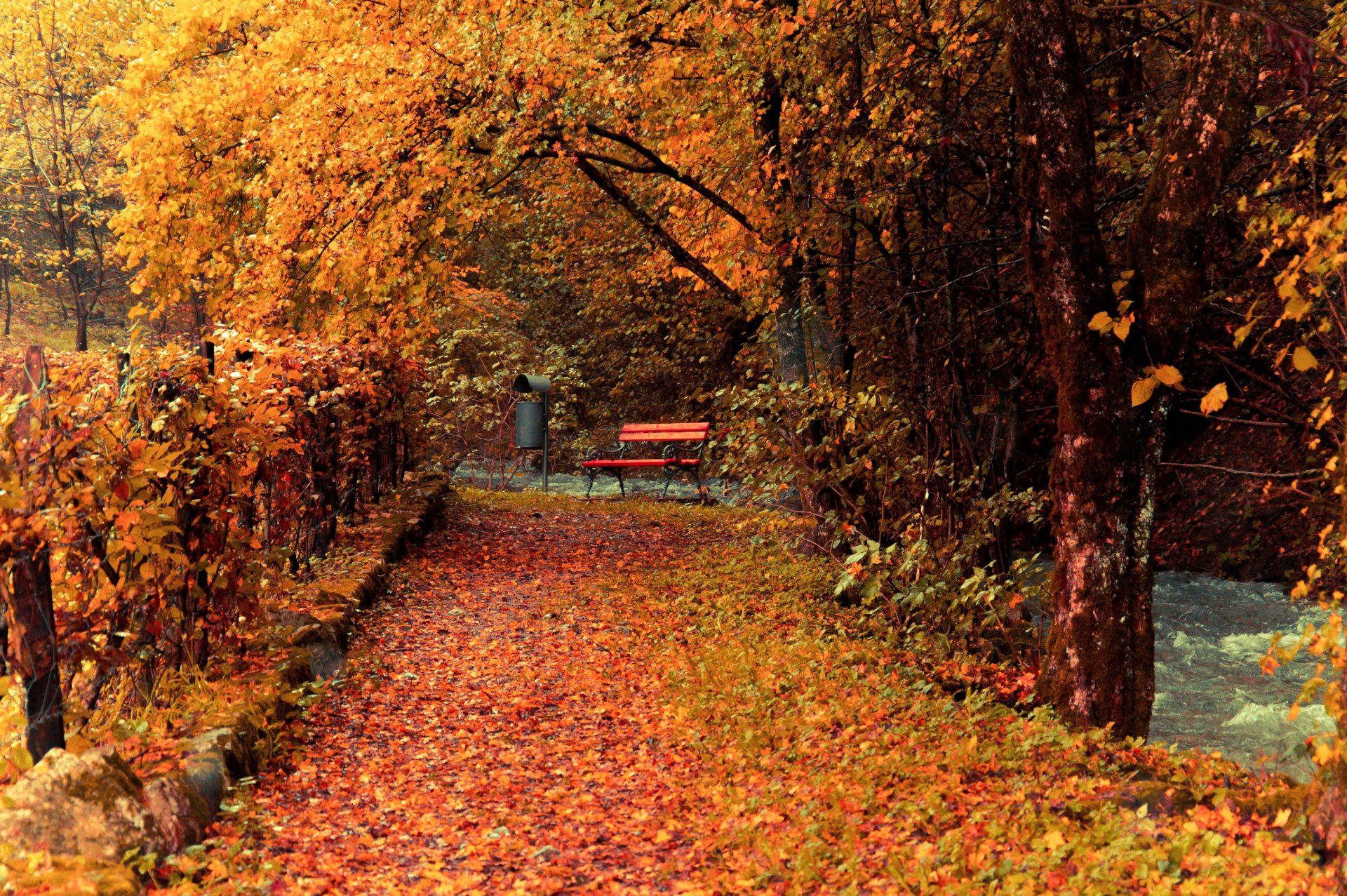 automne parc arbres feuilles jaune passerelle clôture banc banc ruisseau