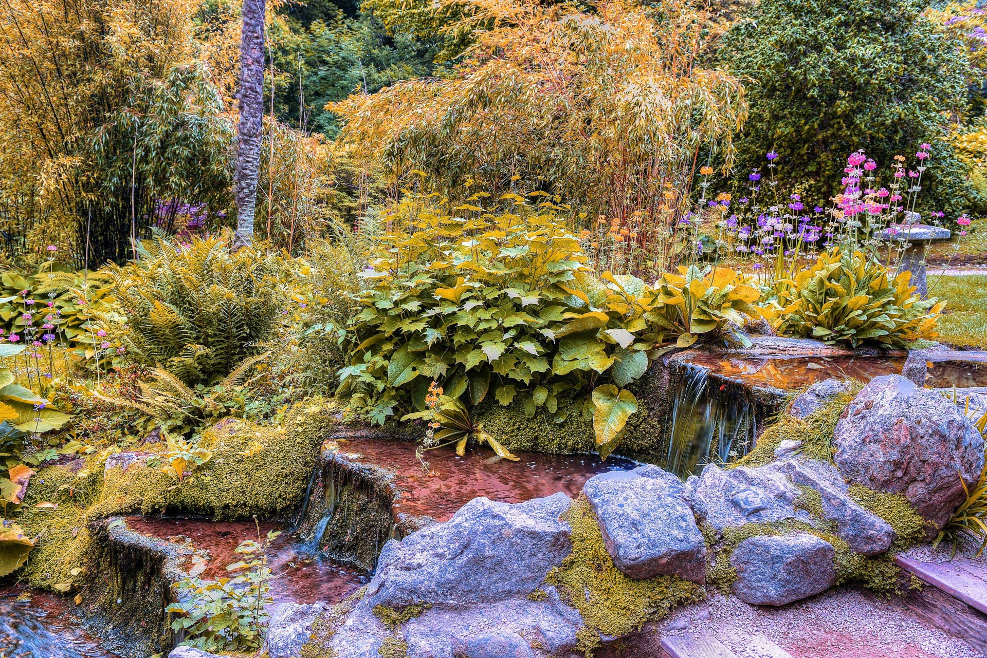 park tree bush flower plants stones water creek stage