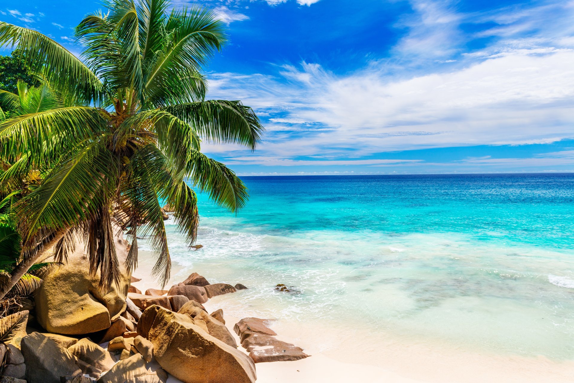 im sommer strand meer küste paradies tropisch sand palmen