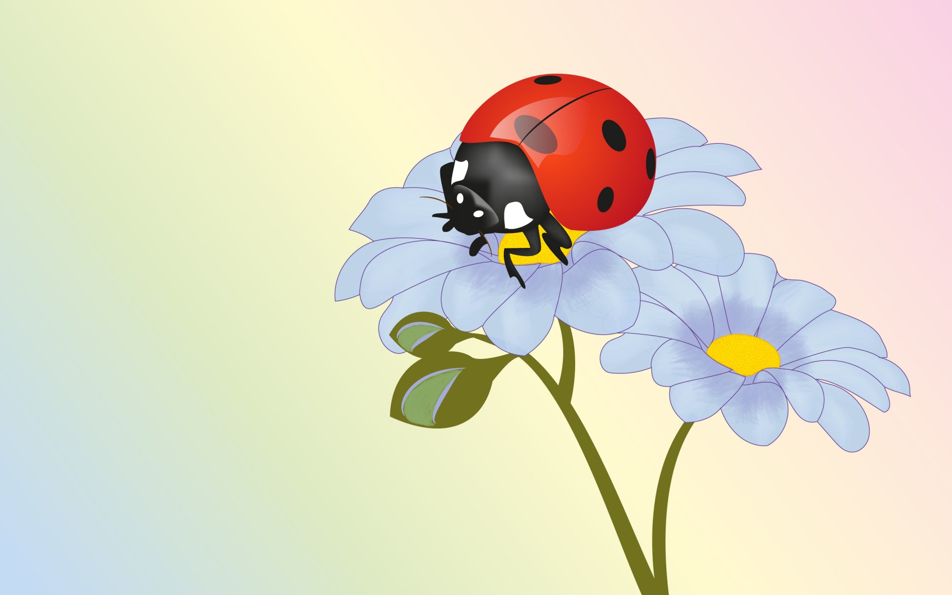 ladybug flower summer picture vector wallpaper insect