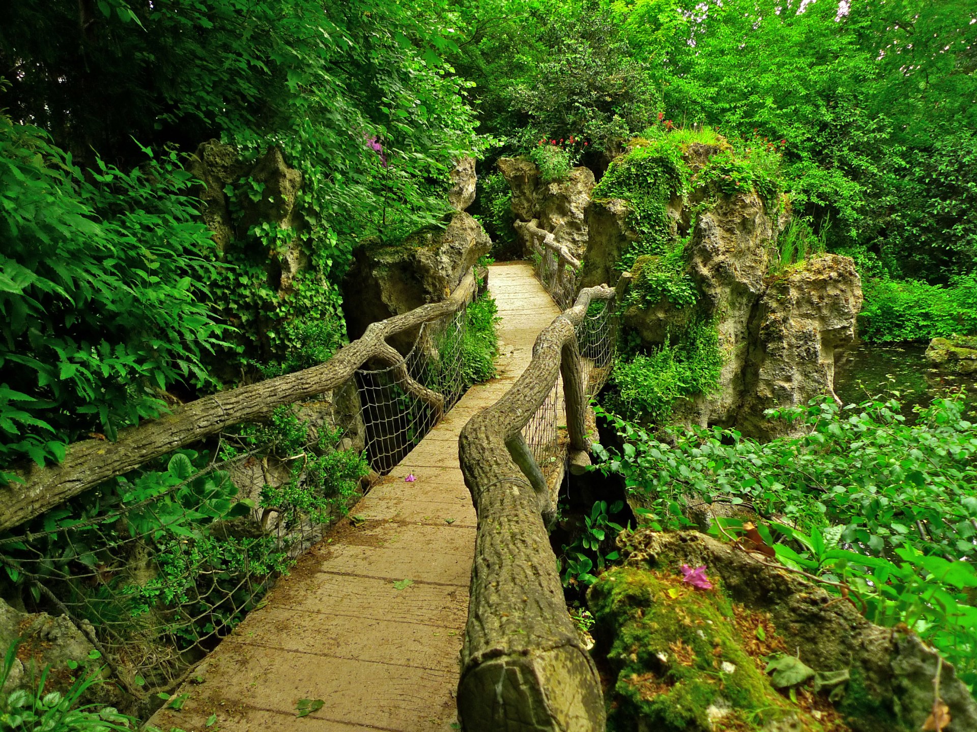 jardin albert-cantal france paris jardin étang pont pierres verdure buissons branches feuilles