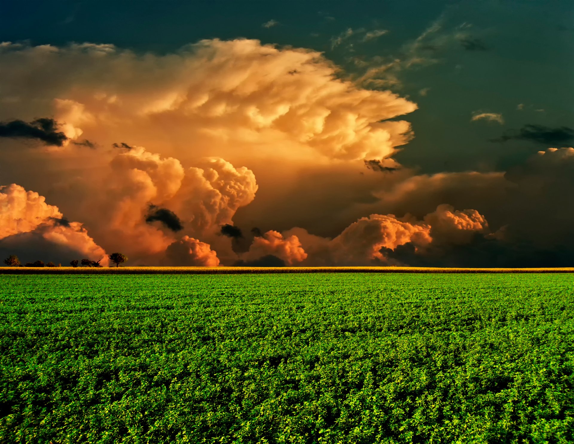 feld himmel wolken horizont