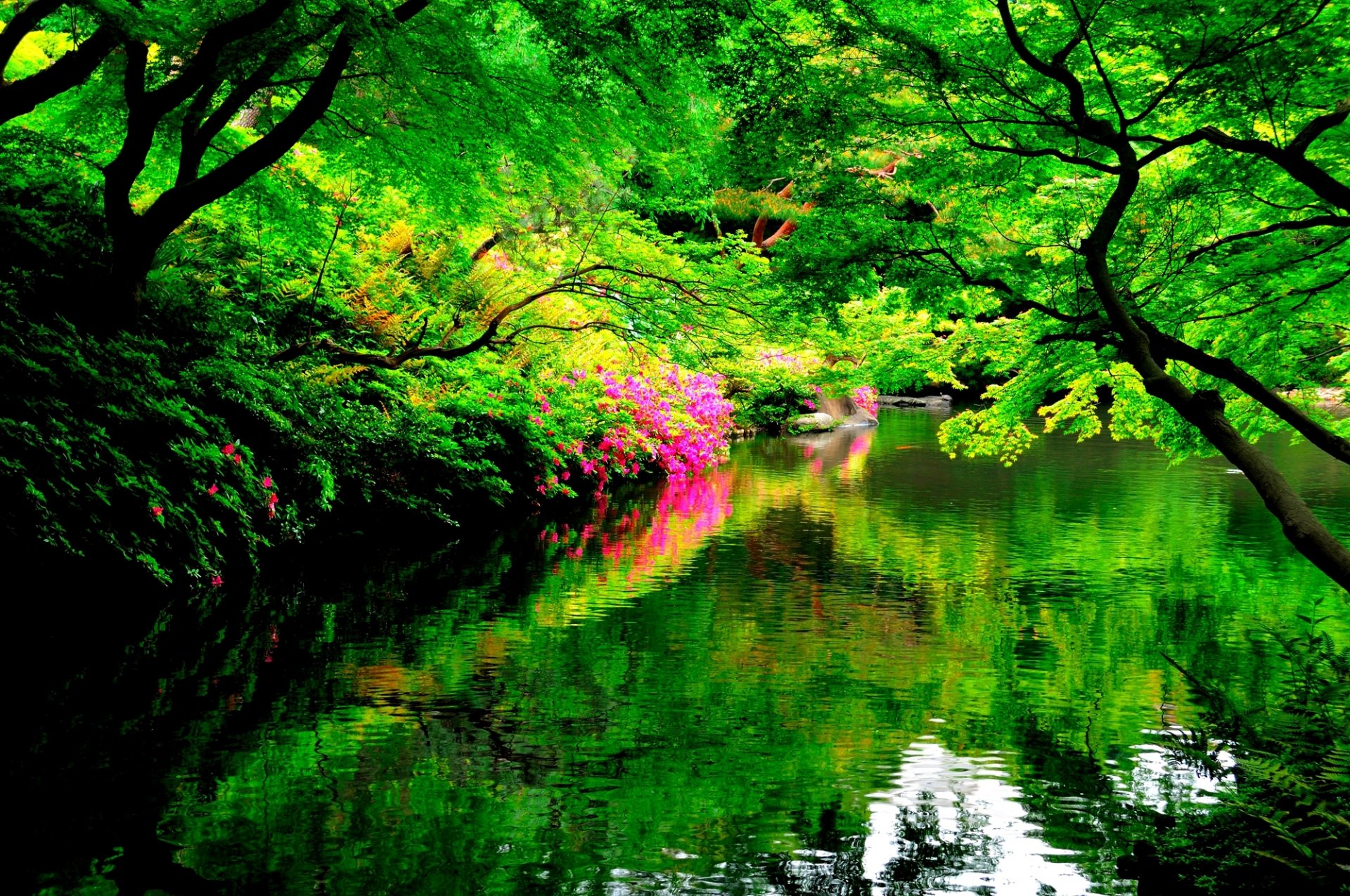 parque lago árboles tsyety reflexiones