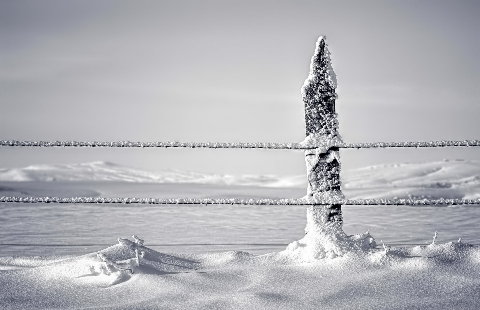 winter snow fence column