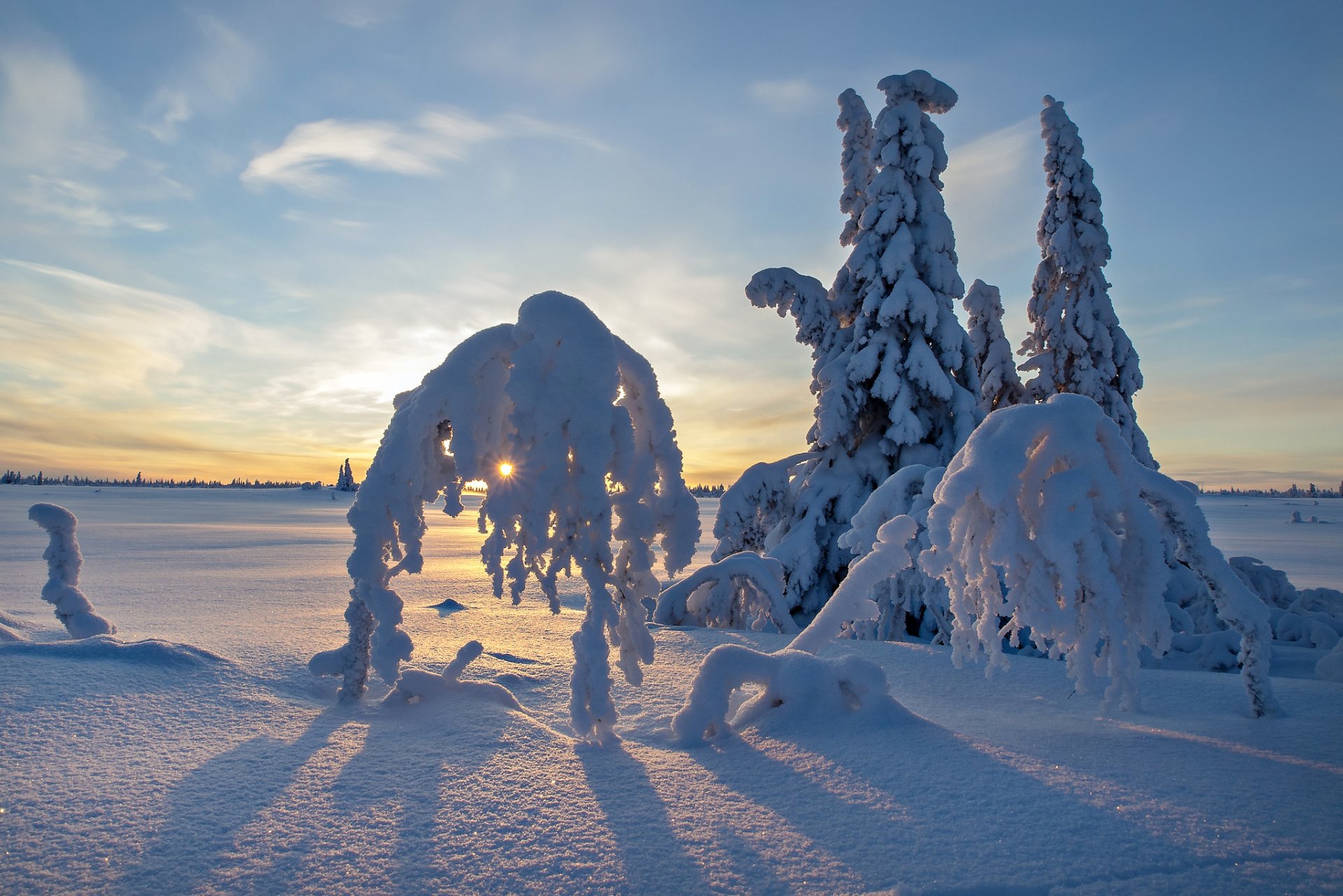 ciel coucher de soleil hiver neige arbres champ