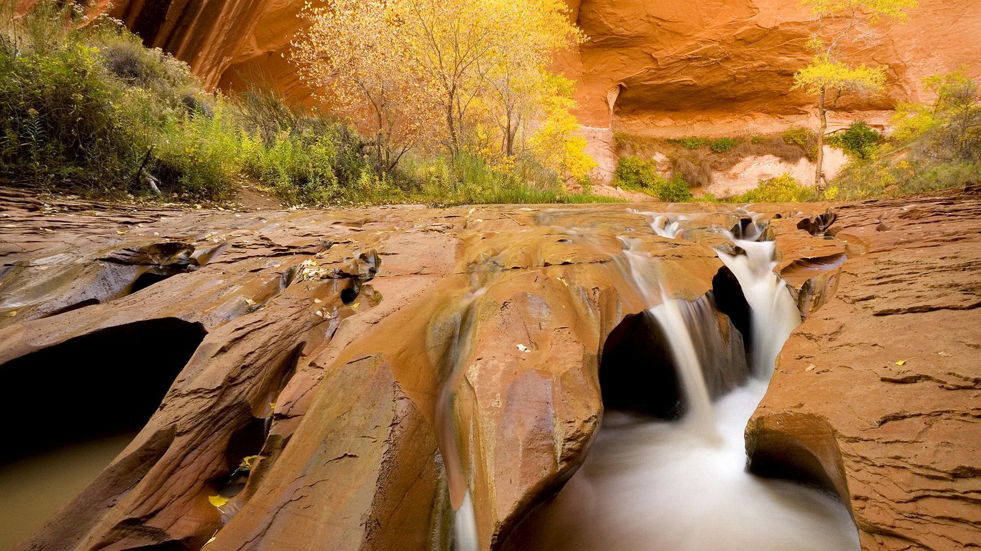 montañas rocas corriente río piedras árbol otoño