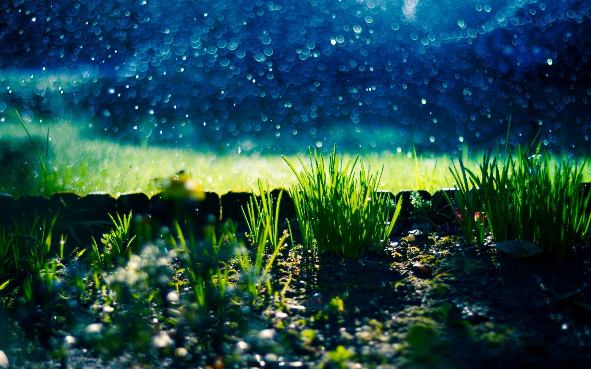 natura erba erba verde pietre ciottoli bokeh sfocatura sfondo carta da parati widescreen schermo intero widescreen