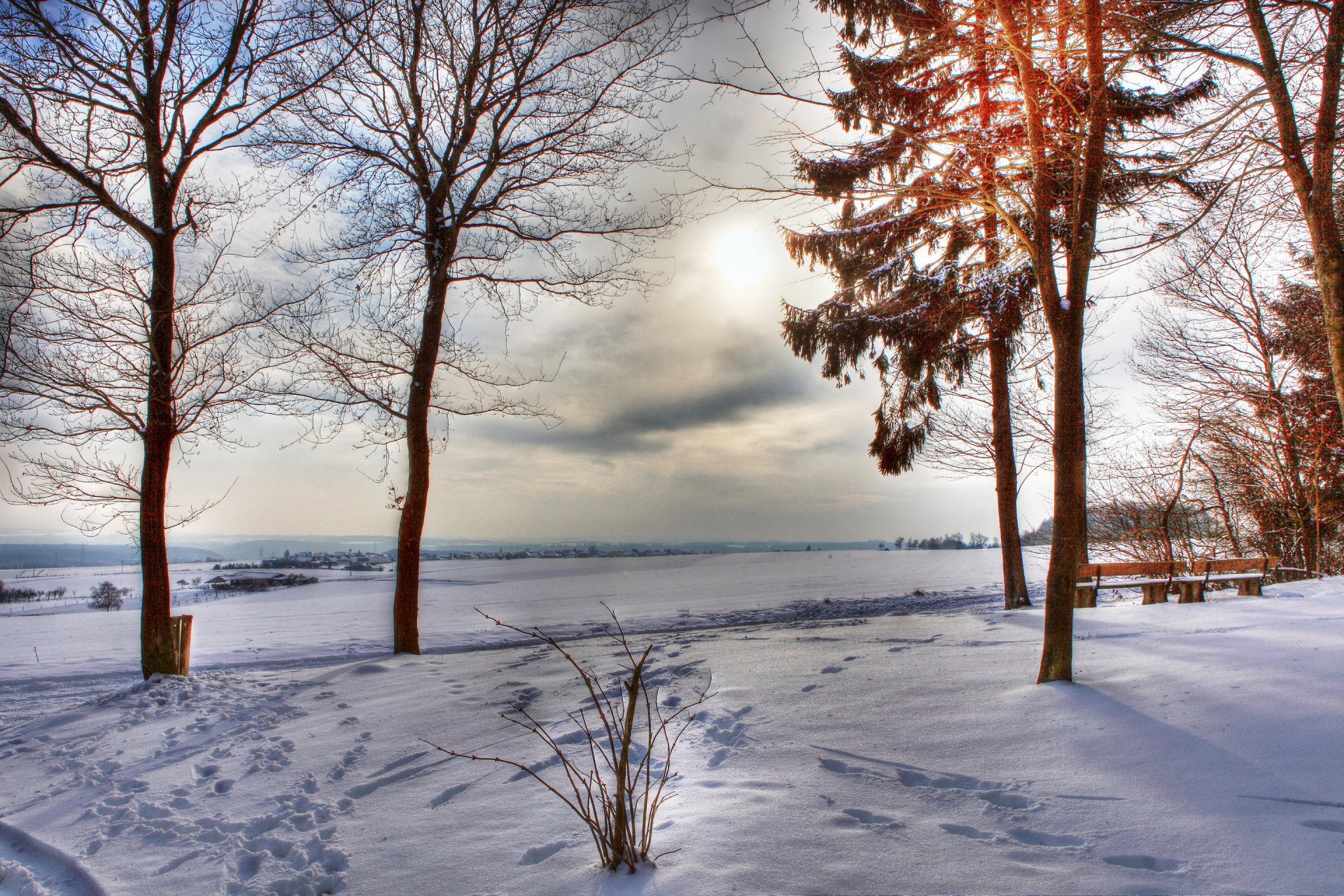 himmel wolken wolken feld bäume winter schnee