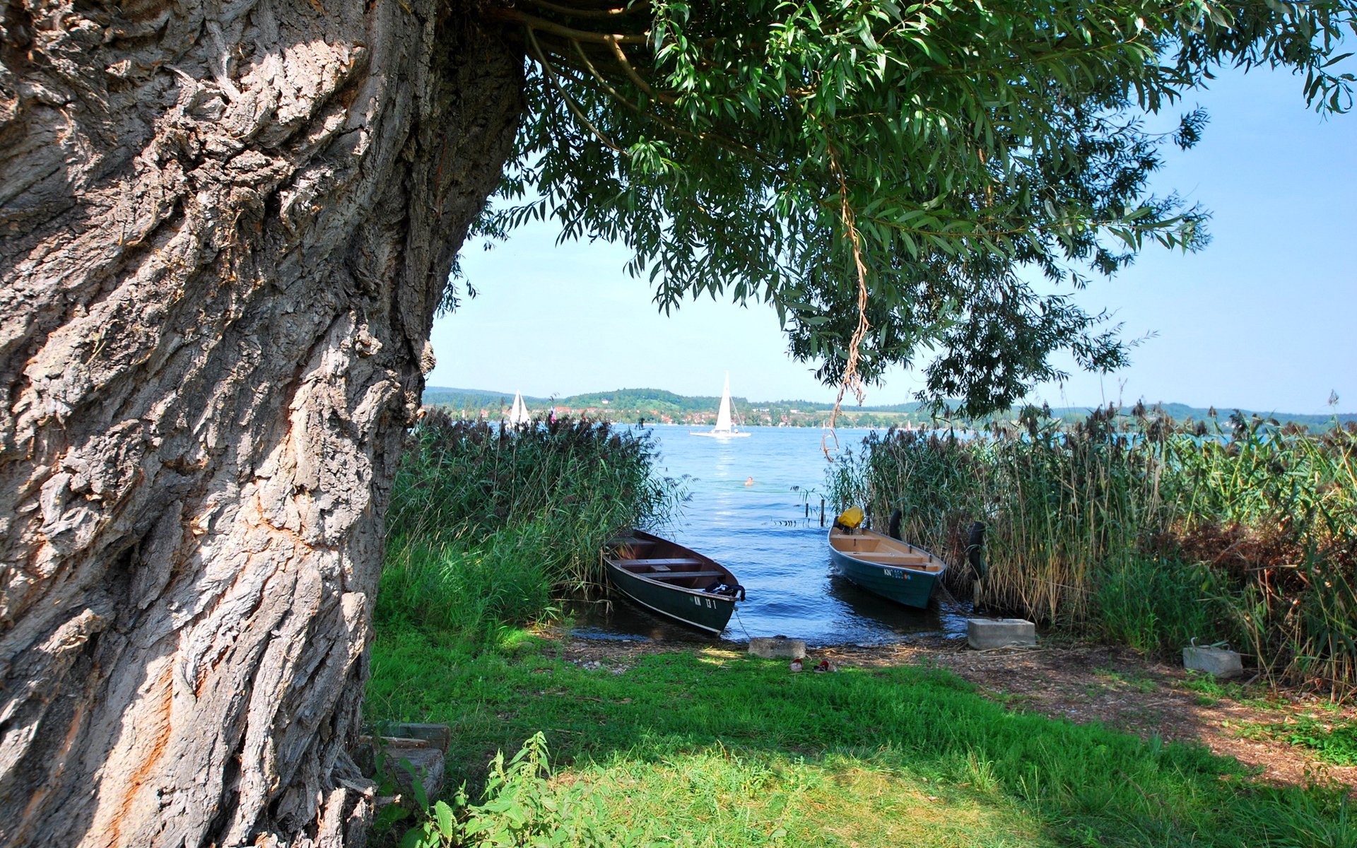 baum fluss boot rückstau segel himmel gras berge see