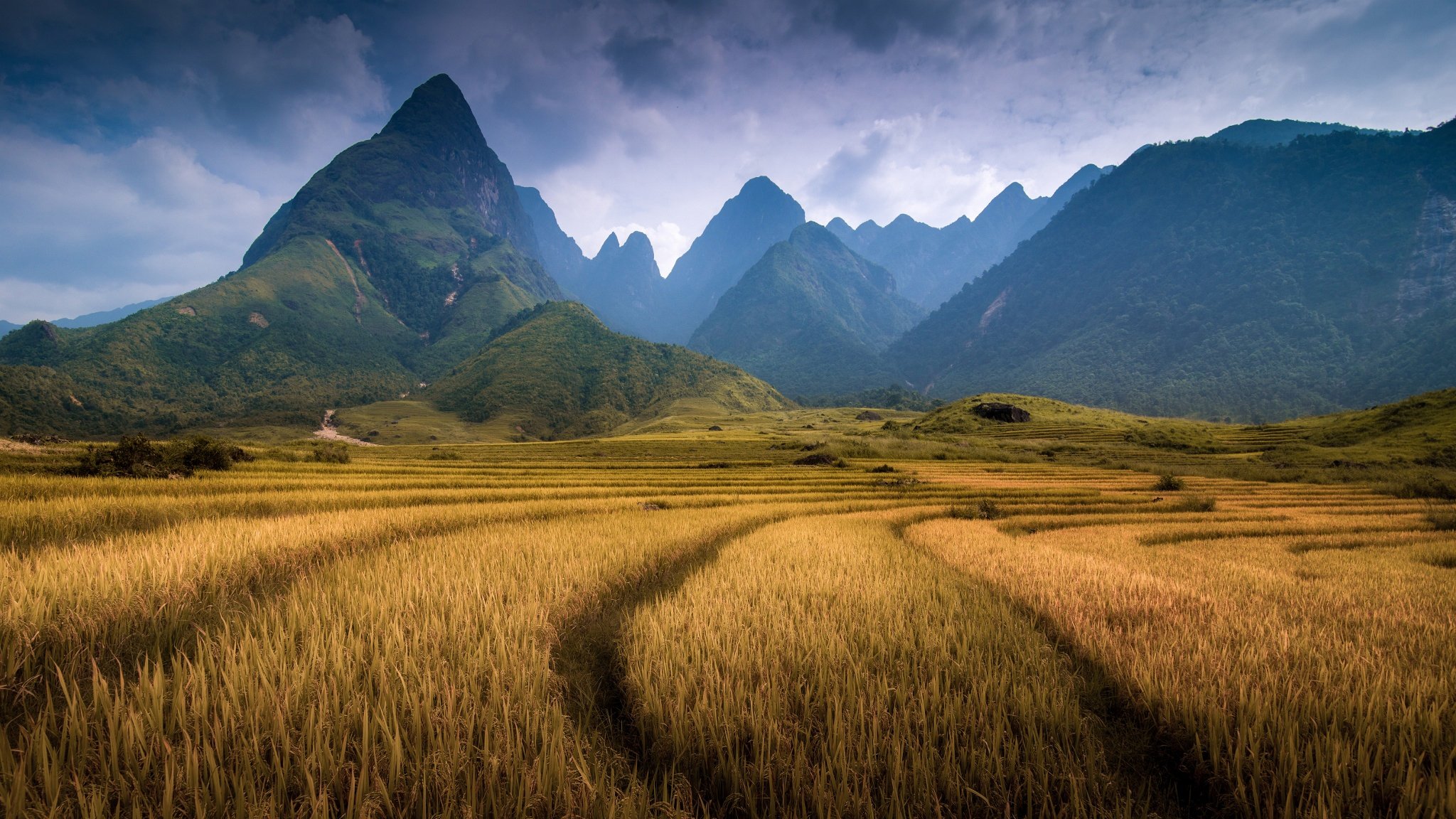 vietnam lao cai province mountain fangshan mountains field