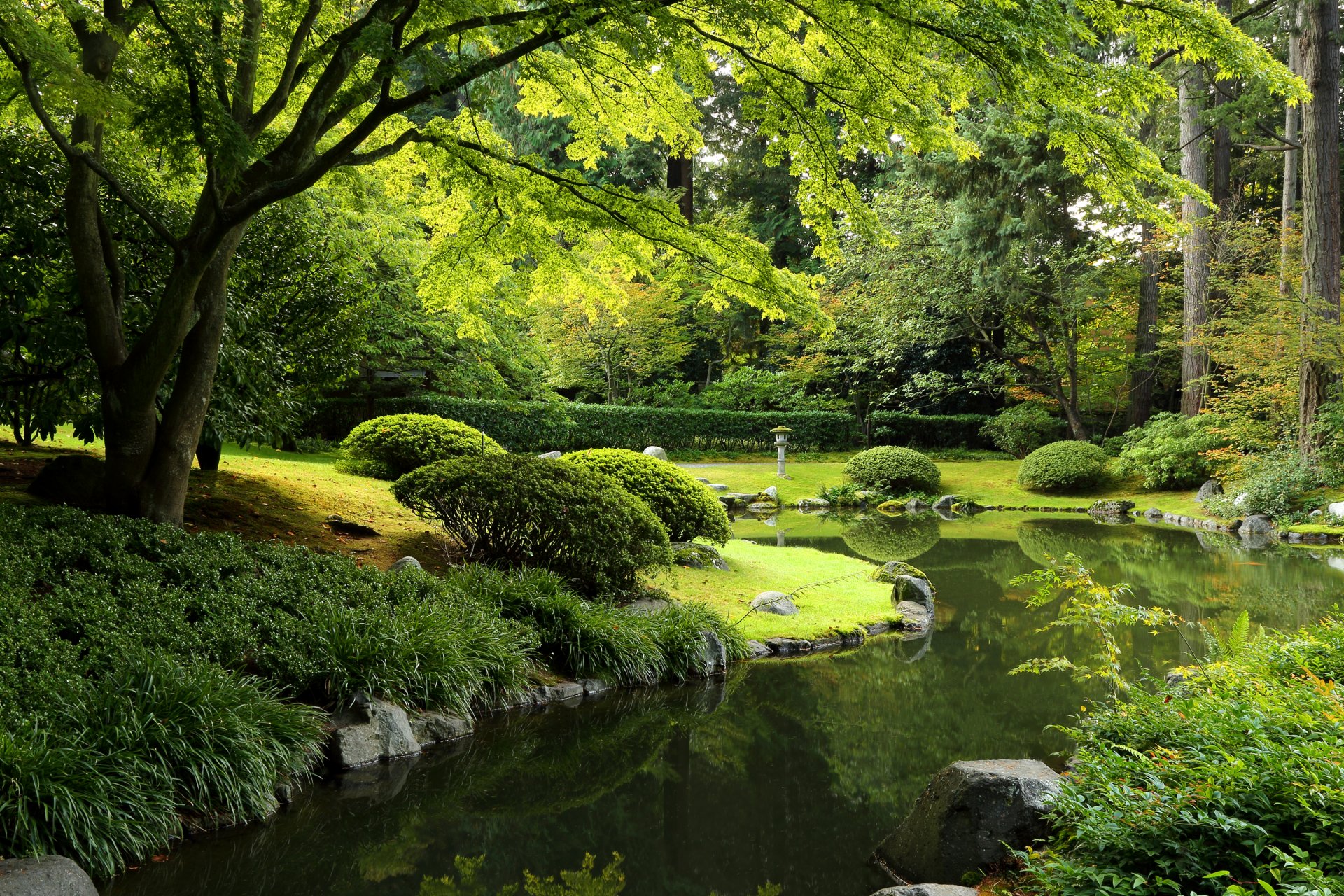 nitobe jardín vancouver canadá parque estanque rocas hierba arbustos árboles vegetación linterna