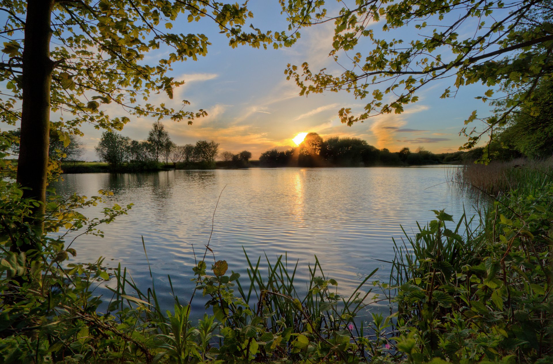 ciel coucher de soleil étang rivière arbres soir