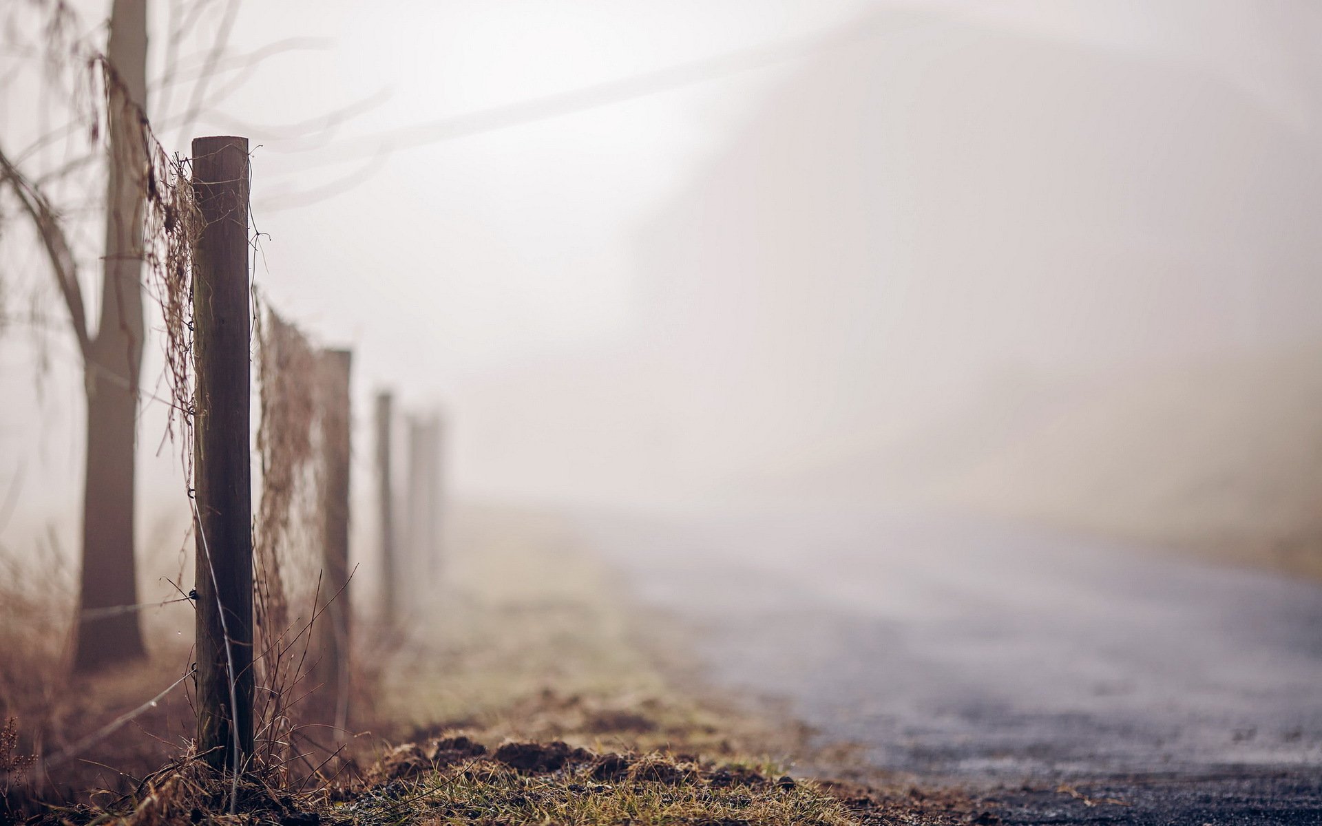 carretera valla niebla