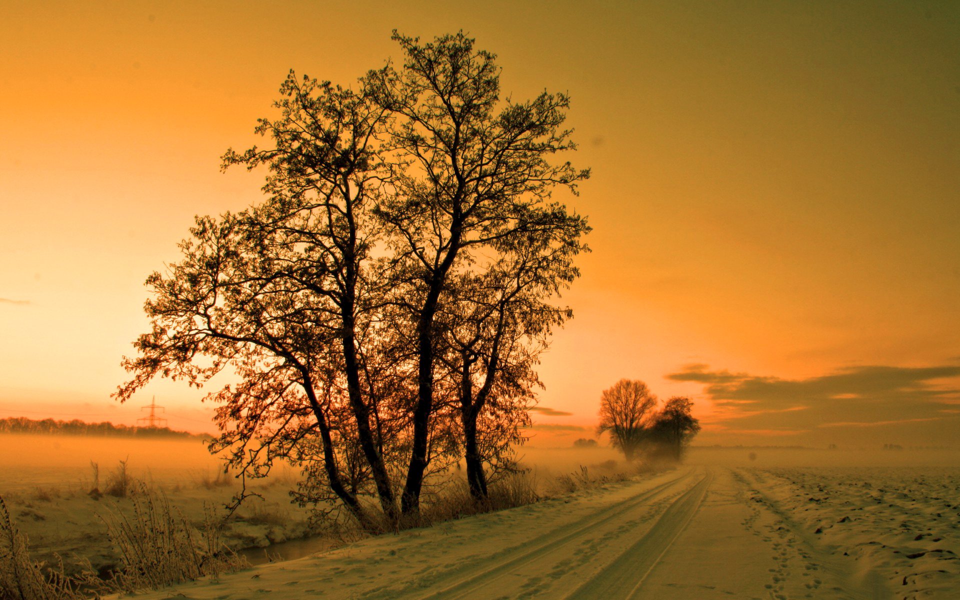 cielo puesta de sol carretera árboles invierno nieve niebla bruma bruma