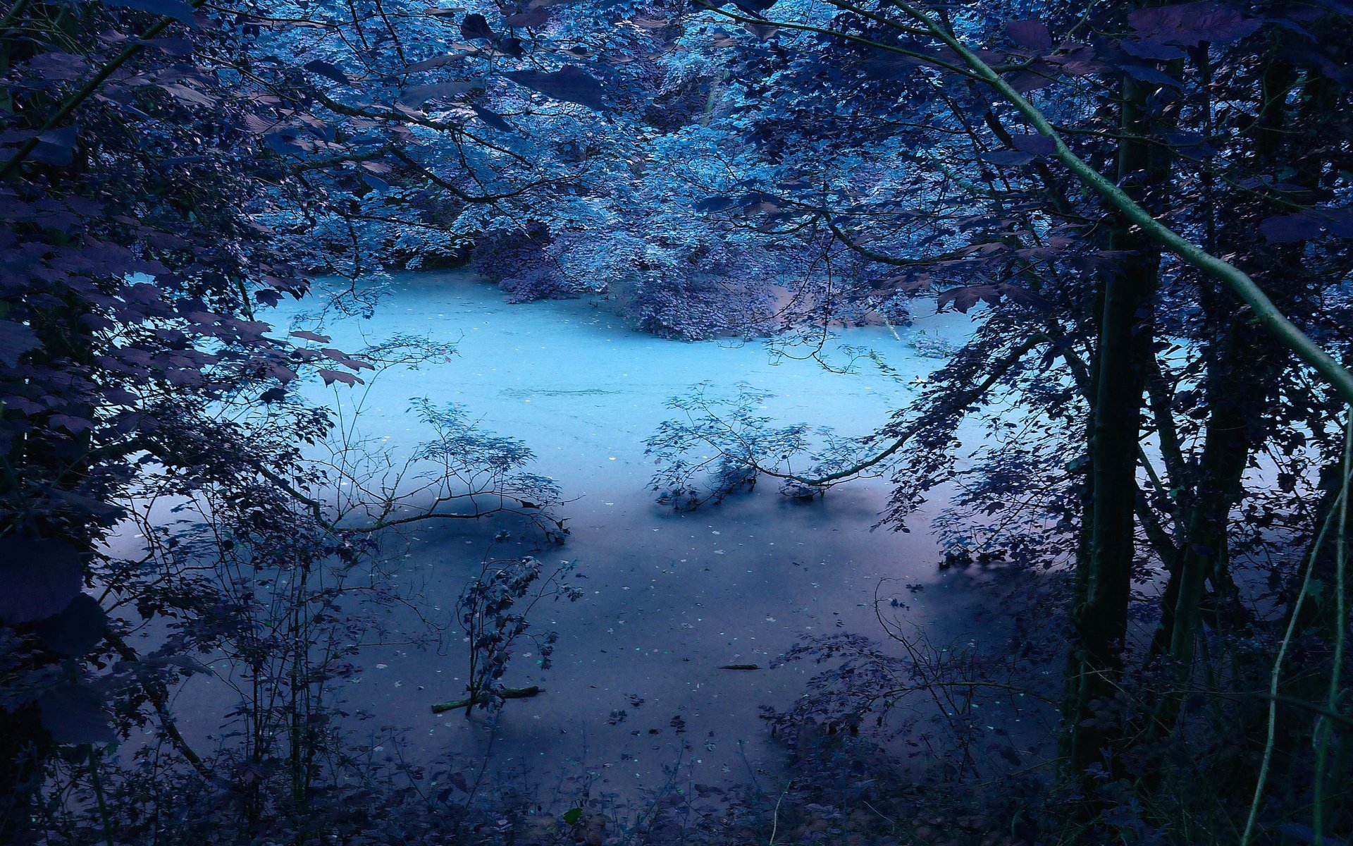 fluss wald bäume verarbeitung