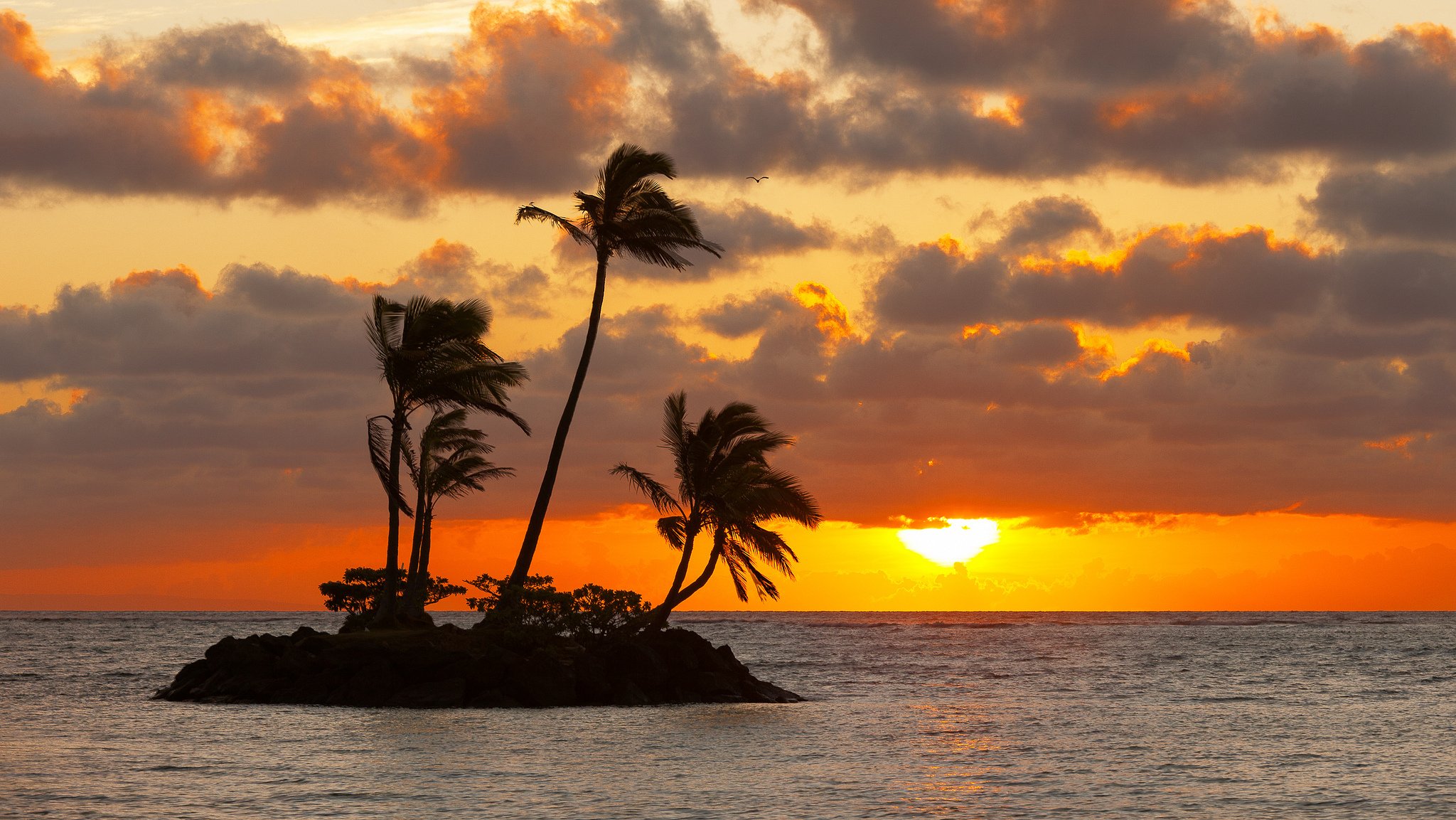 himmel wolken sonne sonnenuntergang meer insel palmen