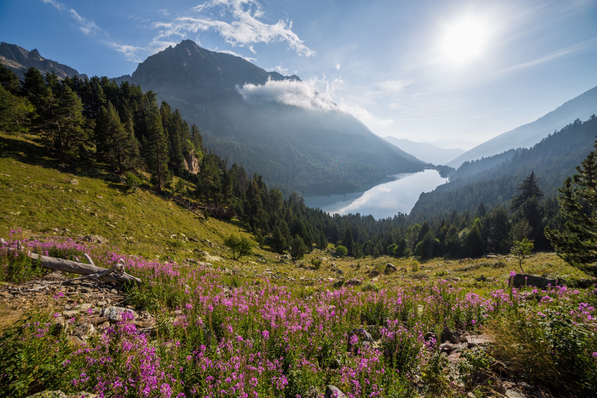 góry jezioro las natura aigüestortes de st.maurici national park hiszpania