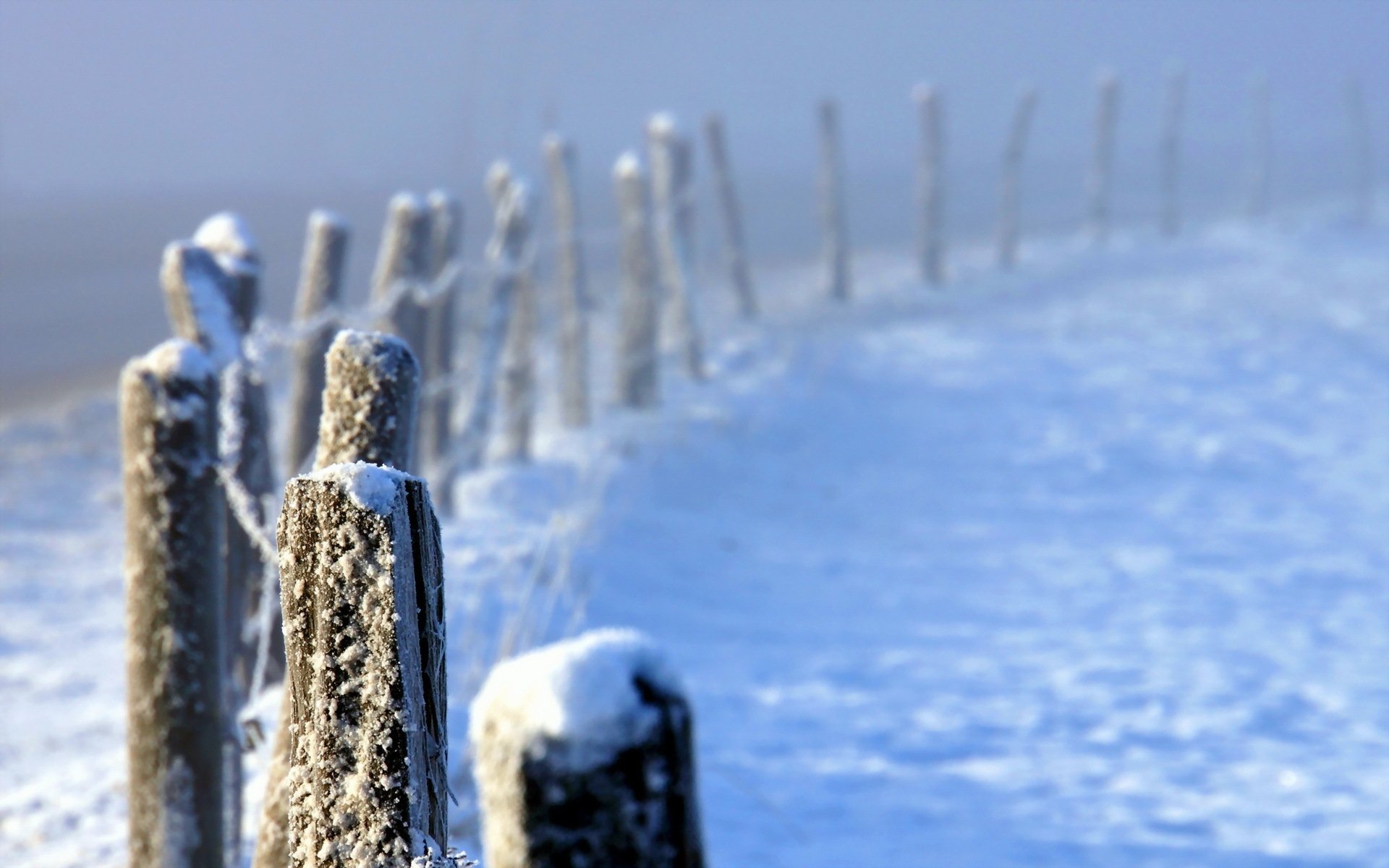 hiver clôture brouillard