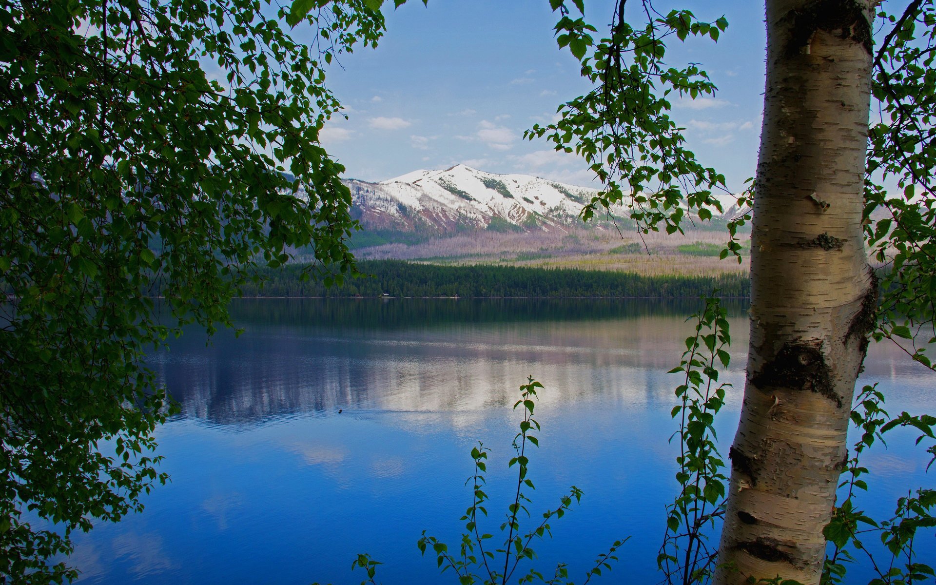 cielo montañas lago árboles nieve