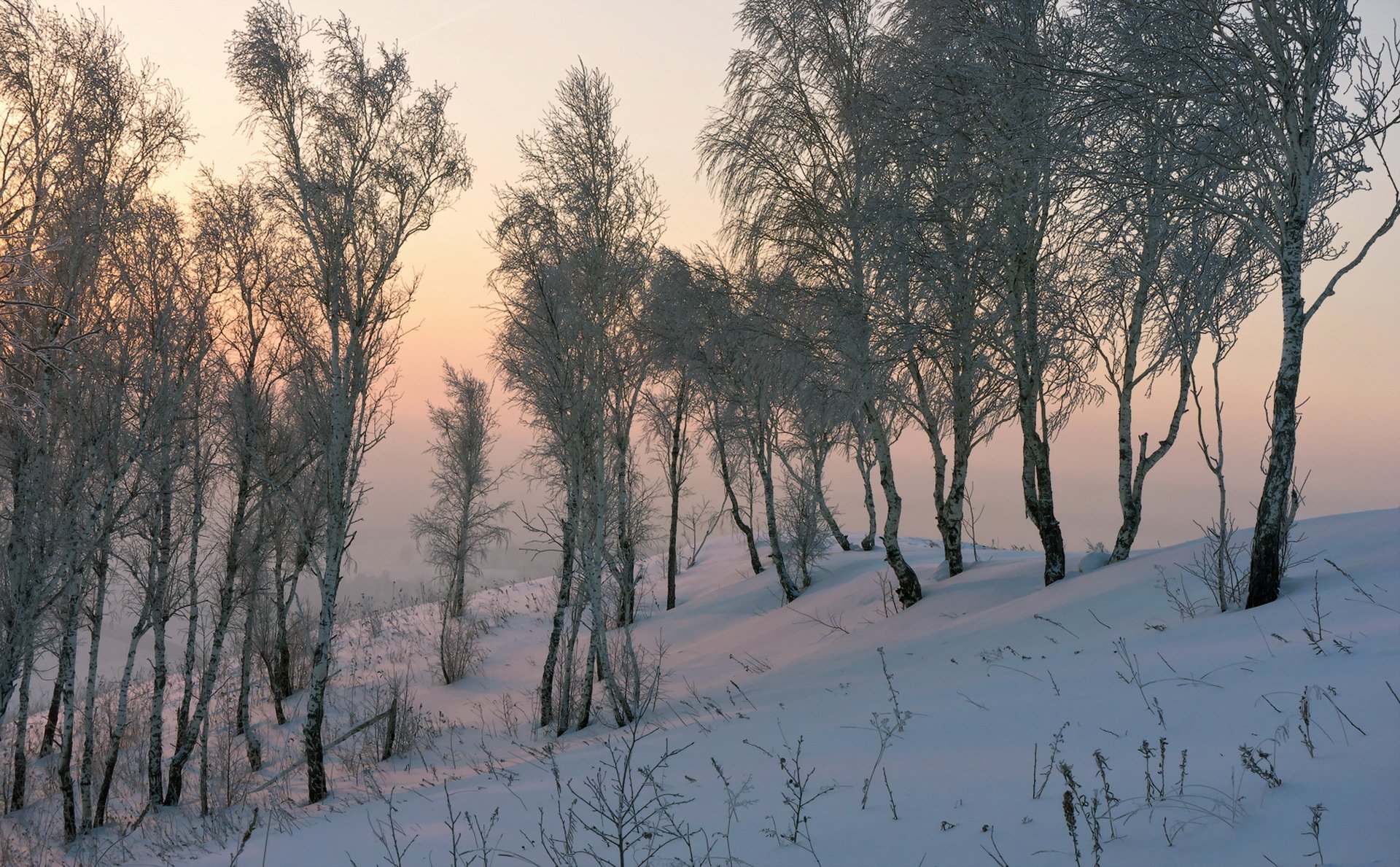 nieve naturaleza