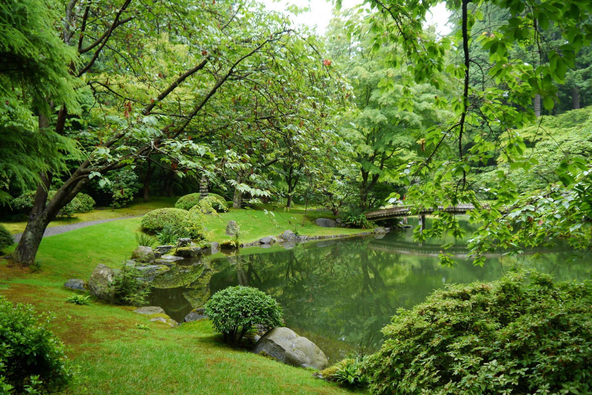 jardin nitobe vancouver canada jardin étang pierres herbe buissons arbres branches feuilles verdure pont sentier