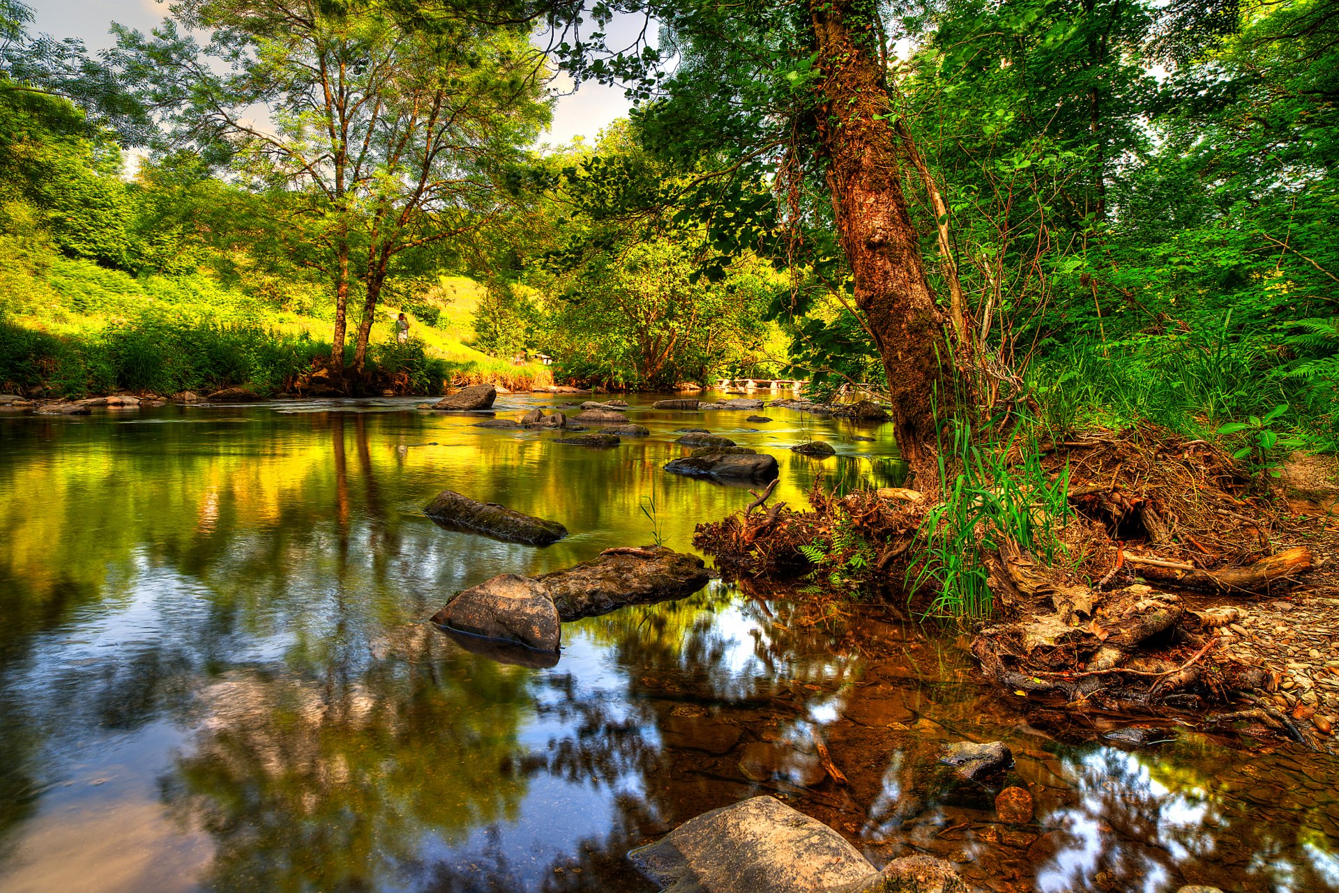 gb exmoor see steine bäume fluss reflexion