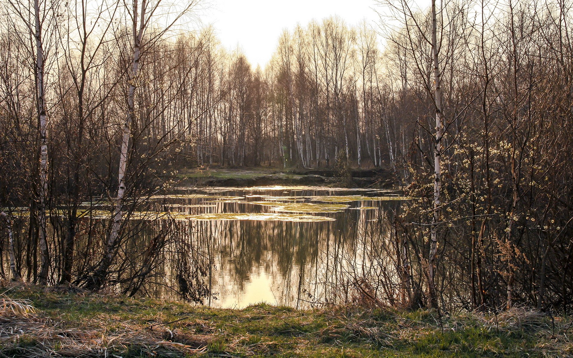 printemps lac nature