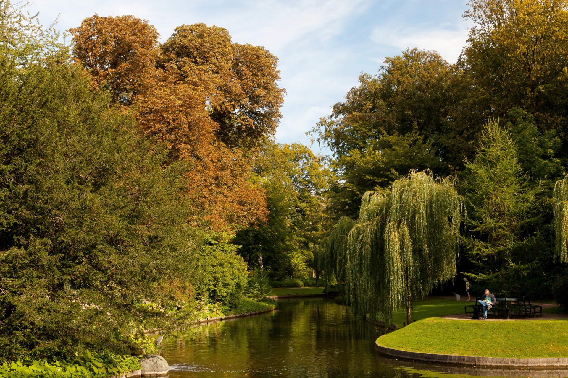 giardino danimarca stagno botanico copenaghen natura foto