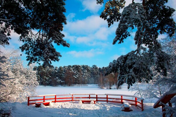 Winterlandschaft mit roten Bänken und Bäumen im frostigen Frost